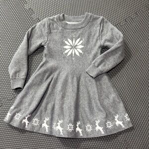 Little Sleepies Sweater Dress 4T